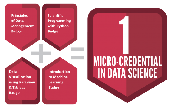 Micro-credential in Data Science