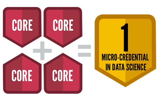 Micro-credential course layout